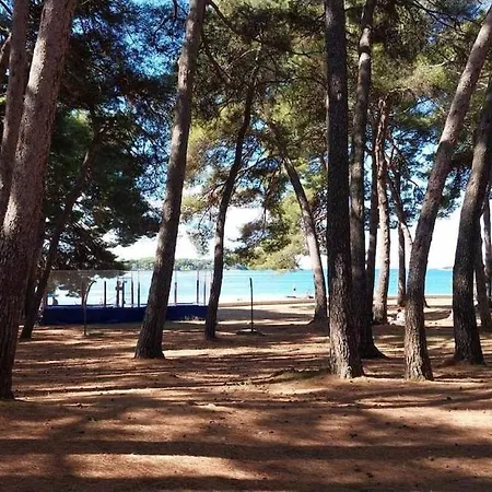 Holiday home House For 12 People Close To The Sea *