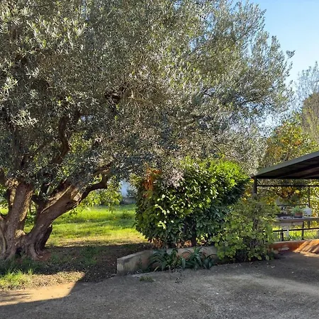 House For 12 People Close To The Sea Holiday home